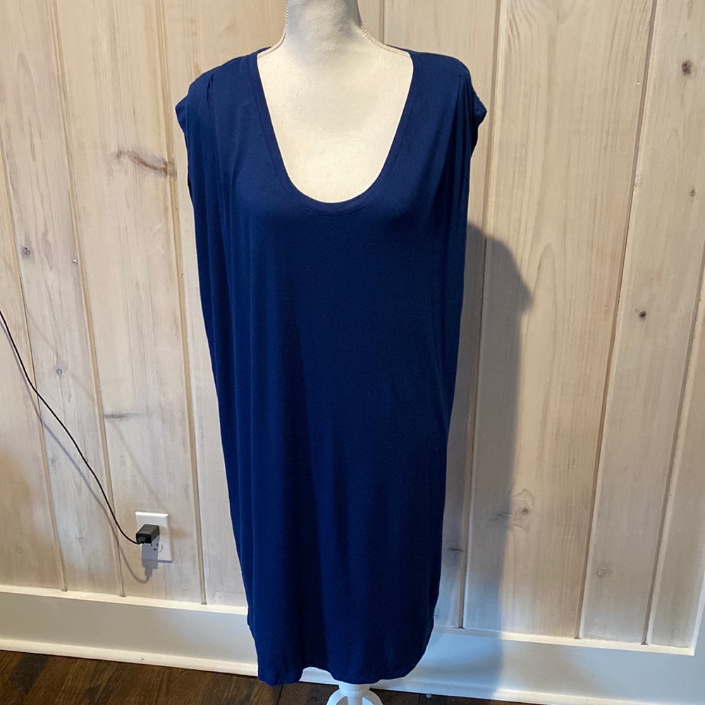 Blue gap dress